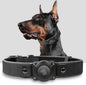 AirTag Dog Collar - Leather Dog Collar with Air Tag Holder | IPX8 Waterproof, Reflective, High - End, Adjustable Soft Padded | Dog GPS Tracker Collars Fit for Medium Large Dogs (Black, XL)