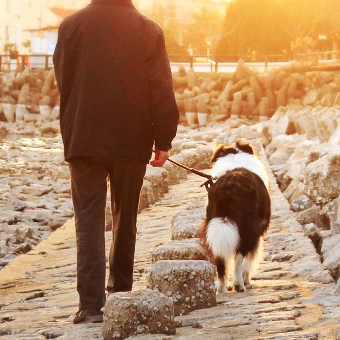 Dog Tie Out Cable,50ft Dog Lead-Heavy Duty Tie Out Cable for for Large Dogs Up to 125lbs-Dog Chain for Yard-Outside Dogs Runner Tether Line