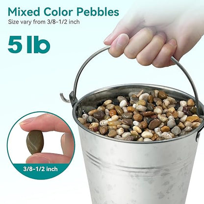 5 lbs Pebbles for Indoor Plants, Vase, Succulent, 3/8" Gravel for Plants, Pots Indoor, Bamboo Rocks for Bamboo Plants, Decorative Small River Rock, Highly Polished