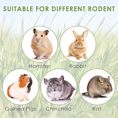 ERKOON 24Pcs Bunny Chew Toys, Small Animal Molar Toys Timothy Grass Beet Sweet Potato Pumpkin Cake Treats for Guinea Pig Hamster Bunny Chinchilla Gerbil, 100% Natural Rabbit Chews and Treats