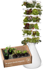 Farmstand Starter Kit with Glow Rings and 36 Seedling Credits | Large Hydroponic Growing System Kit | Vertical Garden Planter Tower | 6ft 7in Tall