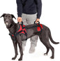 Doggie Stylz Multi-Functional Full-Body Lifting Dog Harness Vest, Designed for Front-Only, Rear-Only or Full-Body Dog Lifting. Please Measure Your Before Ordering.