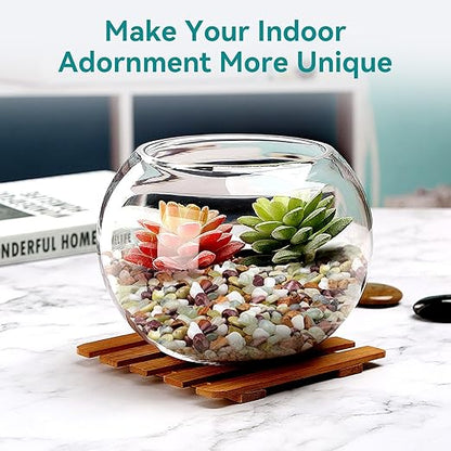 10lbs Pebbles for Indoor Plants, 3/8 Inch Small Rocks for Potted Plants, Succulents, Vase Fillers, Cactus Planters, Bird Bath, Fountain, Outdoor Garden Landscaping