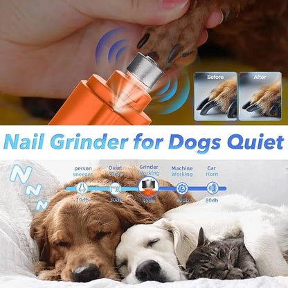 2 in 1 Dog Nail Clippers and Grinder with Lights & Cat Nail Clipper for Large Medium Small Dogs Cats Nail Trimmers USB Rechargeable with 2 LED Lights Dog Claw Care for Non-Black Nails