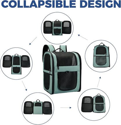 Apollo Walker Dog & Cat Carrier Backpack for 4-15lb Pets - Ventilated Safe Design with Padded Back Support, Breathable Mesh Pet Backpack for Hiking, Travel, Outdoor (Blue)