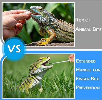 5 Pcs Reptile Feeding Tools Set with Silicone Tips - Extra Long Straight&Curved Tongs, Spoons, Scissors - Stainless Steel Terrarium Feeder Kit for Bearded Dragons, Lizards, Snake, Spiders, Aquarium