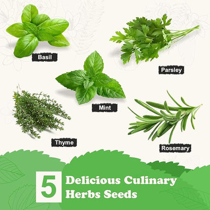 5 Herb Seeds Garden Starter Kit with Complete Planting Kit & Wooden Flower Box, Growing into Basil, Parsley, Rosemary, Thyme, Mint for Kitchen Windowsill Herb Garden DIY