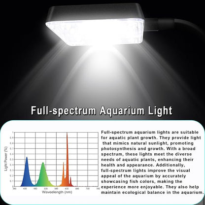 Glass Betta Aquarium Starter Kits 1.5 Gallon Small Fish Tank, Betta Fish Tank with LED Light, Power Filter, Black. 4mm Glass