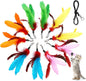 11PCS Cat Feather Toys Refills, 10PCS Feathers and 1PC String, Interactive Cat Wand Toy Replacement for Bored Indoor Adult Cats & Kittens