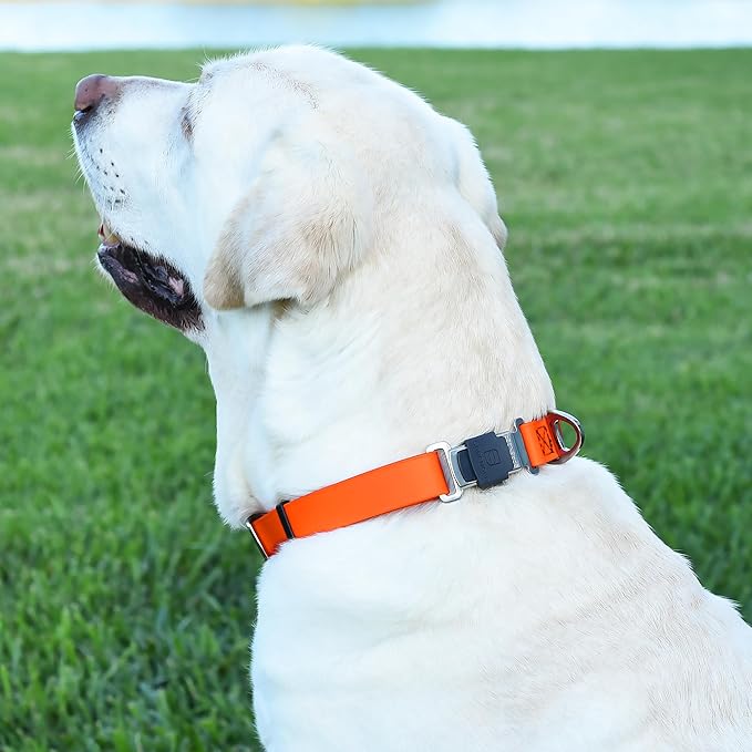 Dogline Biothane Waterproof Dog Collar with Herm Sprenger Stainless Steel Quick Release Buckle – Heavy Duty Tactical Durable Collar for Dogs – Comfortable and Safe Pet Collar, W 3/4" L 12-19", Orange