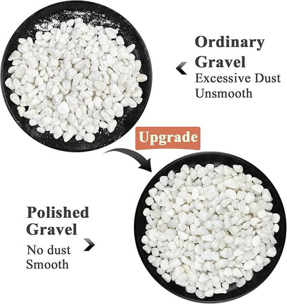 10 lbs White Pebbles for Indoor Plants, 3/8 Inch Decorative White Stones. Polished River Rocks for Potted Plants Vase Cactus Bird Bath and Outdoor Garden Landscaping