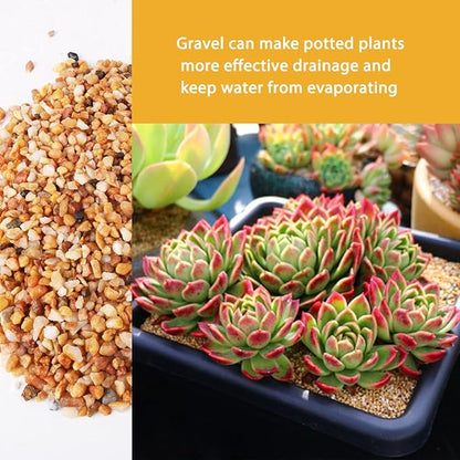 3lb Cactus Pea Gravel Rocks,1/5 Inch Pebbles for Indoor Plants, Natural Succulent Rock and River Rocks Decorative for Aquariums, Vases, Terrarium, Outdoor Gardening, Top Dressing for Potted Plants