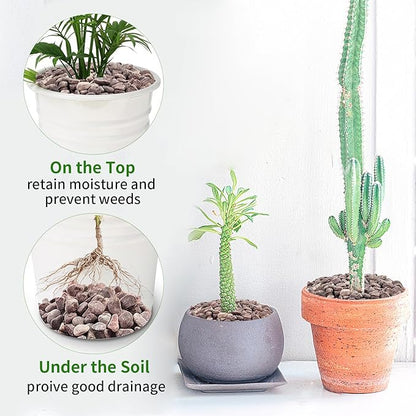 5 lbs Succulent and Cactus Pebbles for Indoor Plants, 3/8 Inch Pea Gravel Decorative Red River Rocks for Plants, Vases, Terrarium, Aquarium, Potted Top Dressing and Outdoor Landscaping Stones