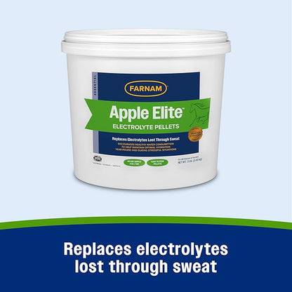 Farnam Apple Elite Electrolyte Supplement for Horses, Replaces Vital Minerals, Encourages Hydration, No Added Sugar, 7.5 lb, 40 Day Supply