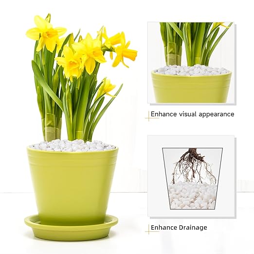 2.5 lbs White Aquarium Gravel, 1/5 Inch White Rocks for Plants, Small Pebbles for Vases, Succulents, Bamboo, Natural Decorative Pebbles for Plants Drainage, Cactus, Crafts