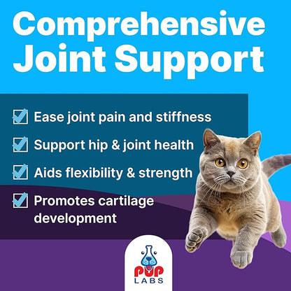 Freedom Joint Drops for Cats with Hyaluronic Acid, MSM, Glucosamine, & Chondroitin, All Natural Cat Joint Supplement for Mobility, Powerful Glucosamine for Cats, Cat Pain Relief, 30ml Dropper