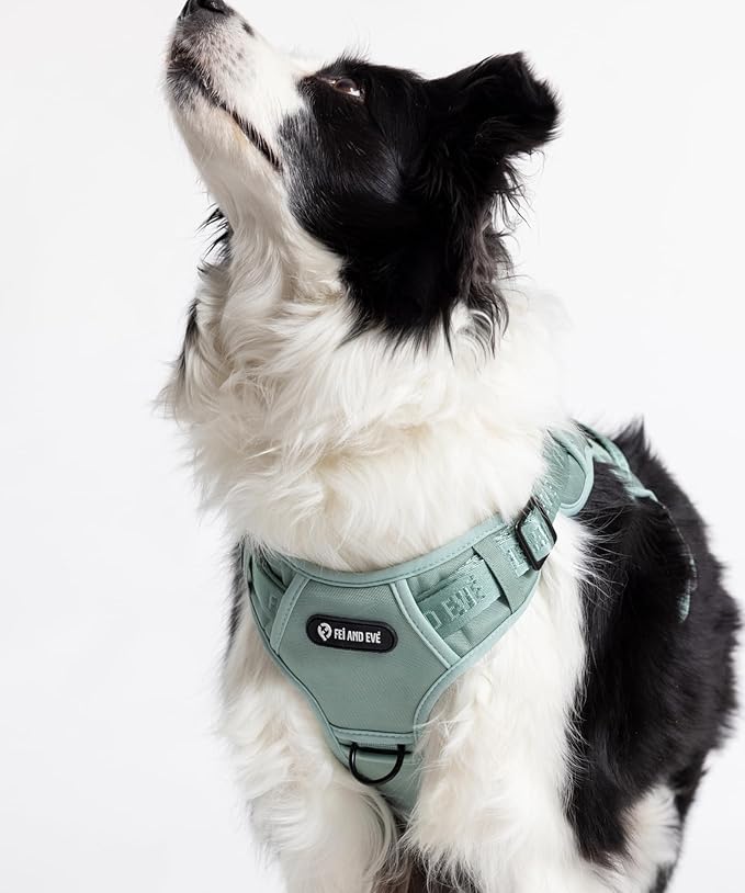 2025 New Edition, Fei & Eve MagEase Dog Harness - 3-Second Magnetic Buckles | 3-Point No-Pull Control | Heavy-Duty 900D Nylon | Dual Safety Handles | Breathable Mesh | Adjustable Fit | Large, Green
