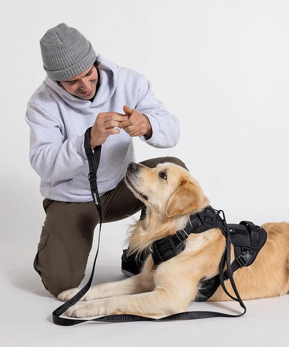 2025 New Edition, Fei & Eve MagEase Dog Harness - 3-Second Magnetic Buckles | 3-Point No-Pull Control | Heavy-Duty 900D Nylon | Dual Safety Handles | Breathable Mesh | Adjustable Fit | Medium,Black