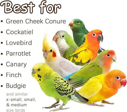 5-Pack Natural Hanging Basket Bird Toys – Foraging & Chewing Toys for Parakeets, Cockatiels, Conures & Small Birds – No Plastic, All-Natural Materials