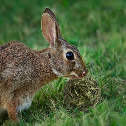 6 Pcs Bunny Timothy Grass Ball Natural Chew Toy Woven Chewing Toys Rabbit Molar Small Animals Teeth Grinding Suitable for Hamster Totoro Gerbils Guinea Pig Squirrel