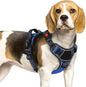 Eagloo Dog Harness Small Sized, Easy Wearing with 3 Buckles, Adjustable No Pull Pet Harness with 2 Rings for Walking, No Chock Reflective Soft Padded Vest with Control Handle, Blue & Black, S