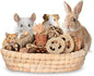 31PCS Rabbit Chew Treat Toys for Teeth Health, Natural Bunny Enrichment Toys for Boredom & Stress Relief, Keep Busy Toys for Guinea Pig Chinchilla Hamster Rat Gerbil Degu Indoor Outdoor