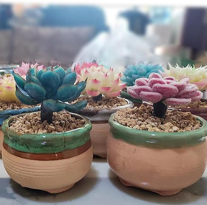 5 lbs Maifanitum Stones for Succulent,1/4 Inch Decorative Rocks for Indoor Plants, Bonsai, Soil Cover. Small Stones for Promote Soil Root Growth, Water Drainage and Plant Growth(5-8 mm)