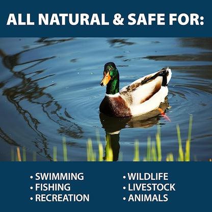 Airmax PondClear Packets, Beneficial Bacteria & Enzyme Clarifier Treatment with Ecoboost PRx, Clear & Clean Pond & Lake Water, Safe for Fish, 12-Count