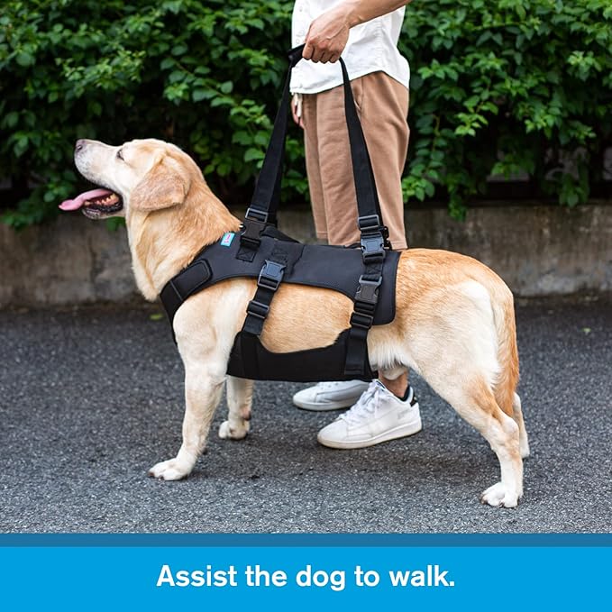 Dog Lift Harness, Rehabilitation Lifts Vest for Dogs, Support & Recovery Sling, Adjustable Breathable Lifting Straps for Old, Joint Injuries, Arthritis, Paralysis Dogs Walk (XL, Black)