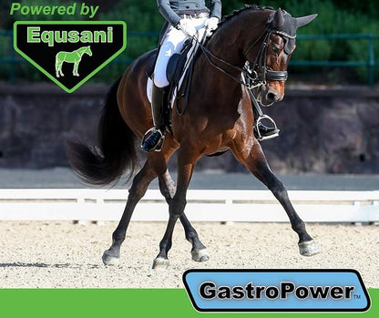 GastroPower Digestible Free Fatty Acid Feed Concentrate for Horses