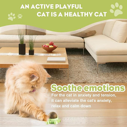 360° Catnip for Cats Wall Catnip Rollerball Licking Ball Cat Nips Mint Magic Cat Stick on Wall Crack Balls Lickable Play Chew Teeth Cleaning Pet Chew Indoor Outdoor