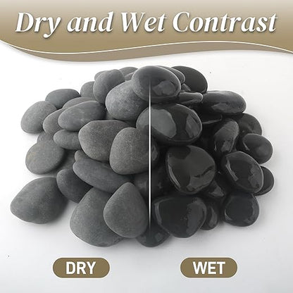 5 lbs Natural Mexican Beach Pebbles, 1-2 Inch Large River Rocks for Plants and Landscaping, Decorative Stone for Fish Tank Aquarium Fountain Garden Paving Walkways Pathways Backyard, Grey
