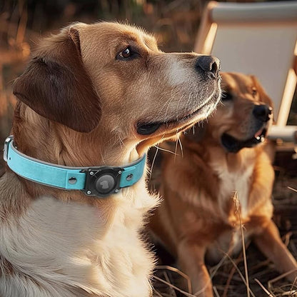 AirTag Dog Collar - Leather Dog Collar with Air Tag Holder | IPX8 Waterproof, Reflective, High - End, Adjustable Soft Padded | Dog GPS Tracker Collars Fit for Medium Large Dogs (Light Blue, XL)