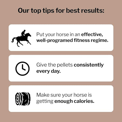 Formula 707 MuscleMx Equine Supplement, 25lb Refill Bag – Conditioning Support and Muscle Builder for Horses with Lysine, Gamma Oryzanol, Creatine & OKG