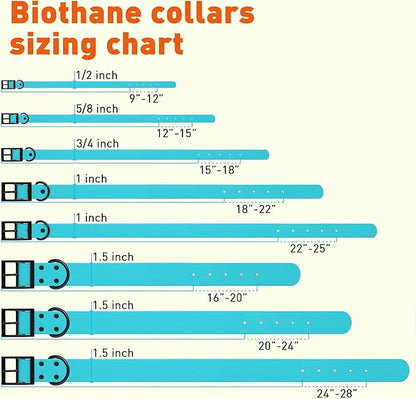 Dogline Biothane Waterproof Dog Collar Strong Coated Nylon Webbing with Black Hardware Odor- Proof for Easy Care Easy to Clean High Performance Fits Small Medium or Large Dogs, Sky Blue