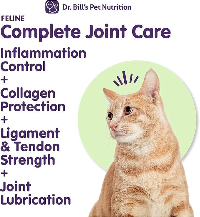 Dr. Bill’s Feline Complete Joint Care | Advanced Hip & Joint Supplement for Cats | Green Lipped Mussel Extract, Collagen Type II, Chondroitin, Hyaluronic Acid, Omega 3 and Colostrum | Powder, 85g
