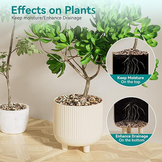 5 lbs Pebbles for Indoor Plants, Vase, Succulent, 3/8" Gravel for Plants, Pots Indoor, Bamboo Rocks for Bamboo Plants, Decorative Small River Rock, Highly Polished