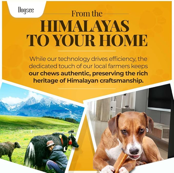 Dogsee Original Yak Cheese Himalayan Dog Chews 1lb (Small- 13 Bars) | 100% All Natural | Dog Treats Small Breed | Dog Chews Long Lasting for Aggressive Chewers | High Protein | Dental Sticks