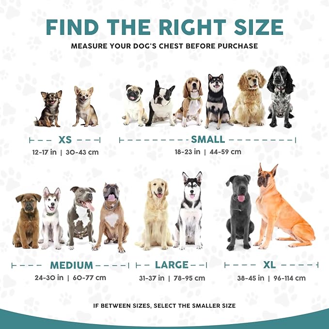 Embark Adventure Dog Harness, Reflective Trim XL Dog Harness for Extra Large Dogs No Pull - Military Grade Nylon, 2 Leash Clips & Gel Lined Handle.