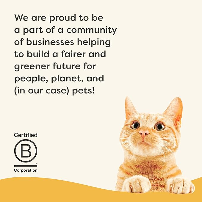 Applaws Vitality Wet Cat Food Paté, Natural Canned Cat Food, Wet Food for Cats with Added Vitamins and Minerals, Grain Free, Carrageenan Free, Chicken Breast (24 Count, 5.5oz Cans)