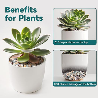 10 lbs Natural Pea Gravel Pebbles for Aquarium, Fish Tank, 3/8 inch Decorative Pebbles for Indoor Plants, Succulent, Bamboo, Vase, Drainage Rocks for Potted Plants, Top Dressing, Mixed Color