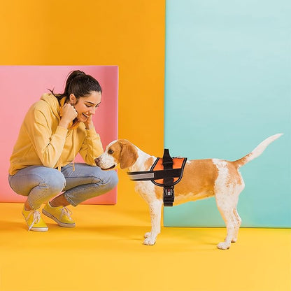 Dogline Dog Harness, Reflective No-Pull Adjustable Vest with Handle for Walking, Training, Breathable, No - Choke Harness for Small, Medium or Large Dogs Room for Patches Girth 22"-28" in Orange