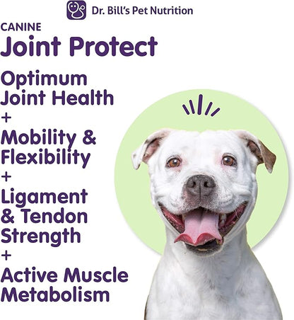 Dr. Bill’s Canine Joint Protect | Joint Support for Dogs | Pet Supplement for Ligament & Tendon Strength | Collagen Type II, Hyaluronic Acid, Eggshell Membrane and L-Glutamine
