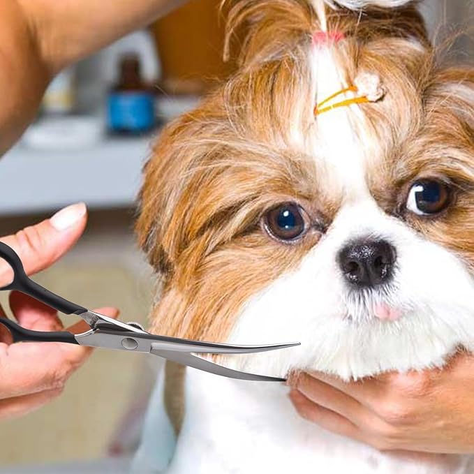 Dragon Creek 6" Upward Curved Dog Grooming Scissors Shears for Grooming Face and Paws Safety Shears Trimming Cutting Scissors for Dog Cat Pet Black