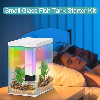 2 Gallon Glass Betta Fish Tank with Heater Filter and Light, Self-Cleaning Small Fish Tank Starter Kits.