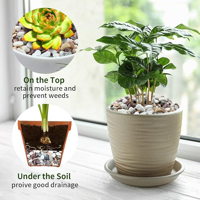 10 lbs Colorful Pebbles Pea Gravel for Landscaping, 3/8 Inch Decorative River Rocks for Plant Indoor Succulent Cactus Vase Garden and Plant Pots