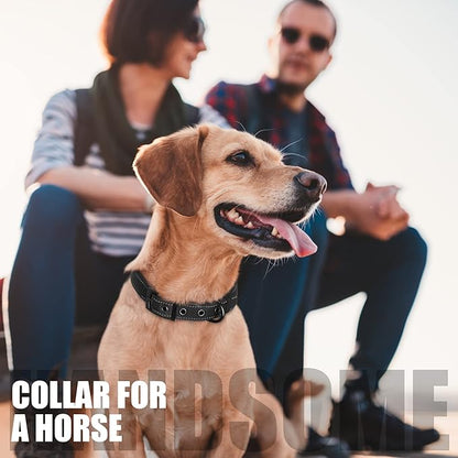 Fida Heavy Duty Dog Collar, Ultra Comfortable Soft Neoprene Padded, Adjustable Reflective Nylon Pet Collar with Durable Metal Belt Buckle for Medium Breeds (M, Black)