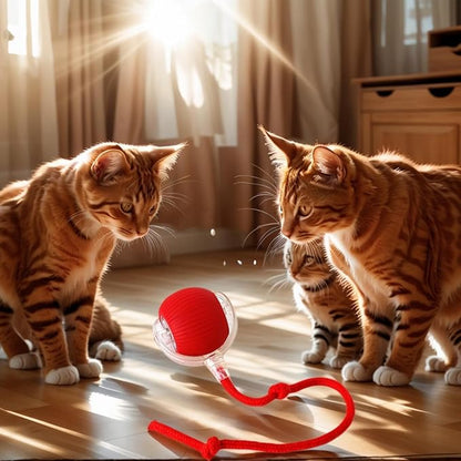 Electric Cat Toy - Automatic Rolling cat Toy with Motion sensors, Designed for Indoor Cats, Suitable for Solo Play (USB Rechargeable) (Red)