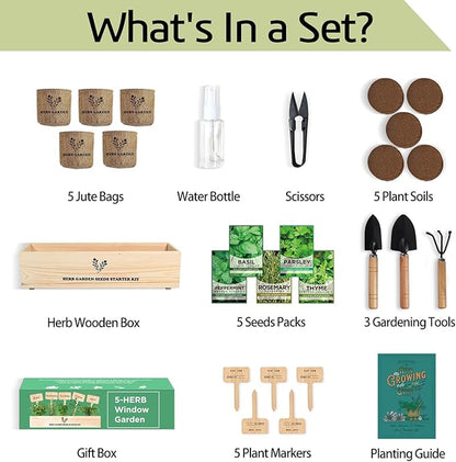5 Herb Seeds Garden Starter Kit with Complete Planting Kit & Wooden Flower Box, Growing into Basil, Parsley, Rosemary, Thyme, Mint for Kitchen Windowsill Herb Garden DIY
