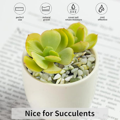 2 lbs Jade Rocks for Plants Indoor, 3/8 inch Small Pebbles for Indoor Plants, Decorative Rocks for Succulents Cactus Bamboo Vases Landscaping Drainage and Outdoor Garden Rocks